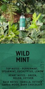 aroma menta silvestre