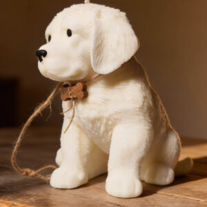 Vela Cachorro de Golden Retriever